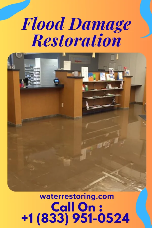 Flood Damage Restoration in Waikapu, HI