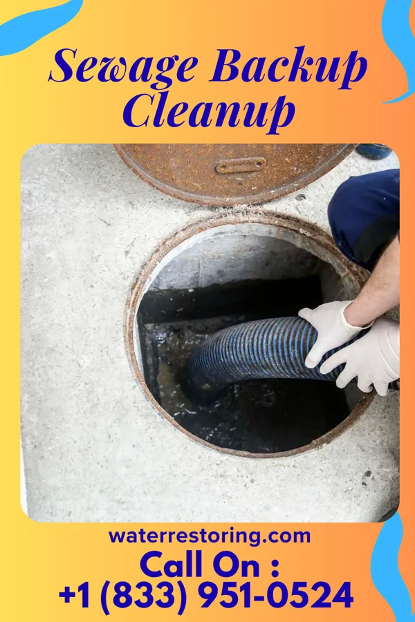 Sewage Backup Cleanup in Waikapu, HI