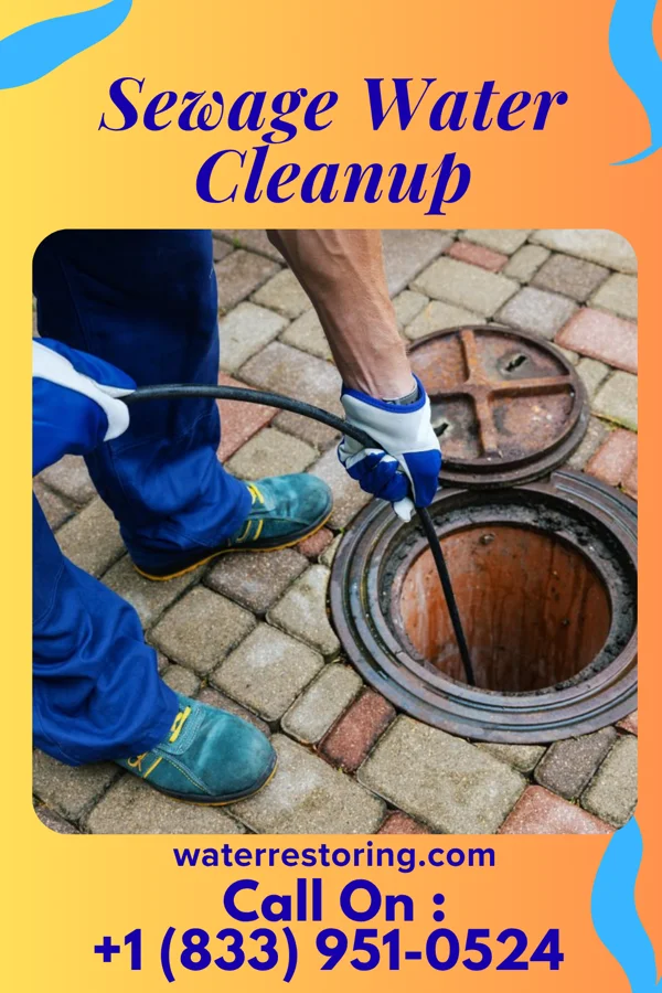 Sewage Water Cleanup in Waikapu, HI