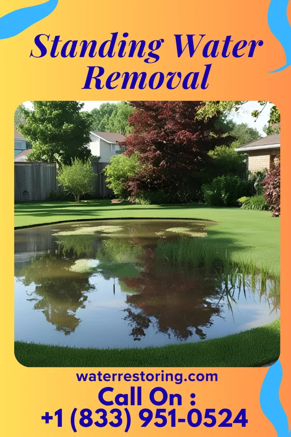 Standing Water Removal in Waikapu, HI